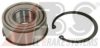 RUV 5572 Wheel Bearing Kit